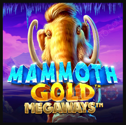 Wild Witches (Popiplay)